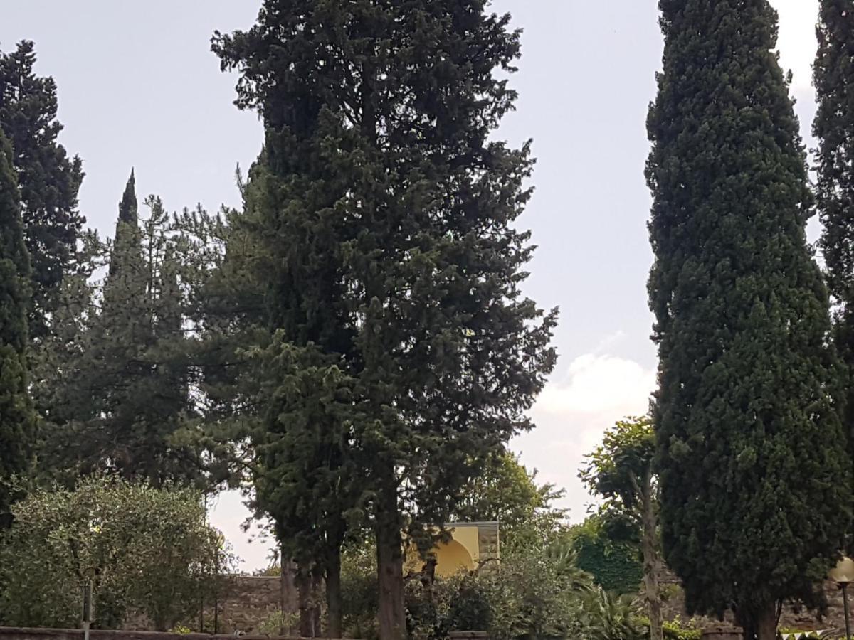 Piccolo Poggio Apartments フィレンツェ エクステリア 写真